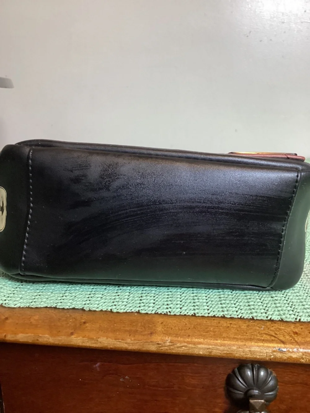Disney Parks & Loungefly black body